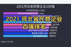 2021河北省民营企业百强排名, 40家钢企强势入围视频封面