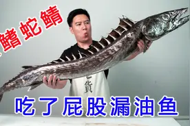 试吃超大的黑鳍蛇鲭，又丑又凶猛，吃了还屁股漏油视频封面
