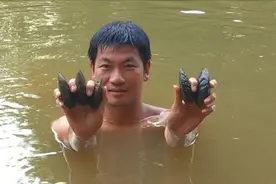 “河里的生蚝”满满的童年味道，摸河蚌只有农村才有的记忆视频封面