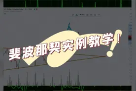 斐波那契指标实例教学视频封面