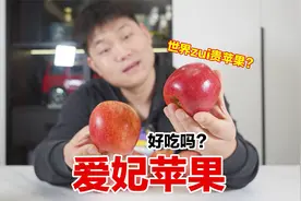试吃世界最贵苹果，20块钱一小个，真的能好吃吗？视频封面