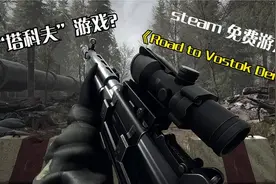 仿“塔科夫”硬核生存游戏？Steam免费游戏 高画质视频封面