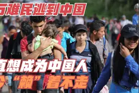 20万难民逃到中国，一直想成为中国人，如今“赖”着不走视频封面