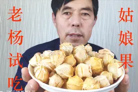老杨试吃云南新奇水果：姑娘果  褪掉外衣一口一个真过瘾视频封面