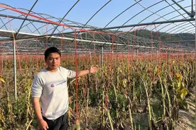美国夫妻租下10亩荒地，大量种植“以废为宝”的植物，年入120万视频封面