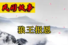 民间故事：员外救狼王一命，一年后，狼王带领狼群包围了住宅视频封面