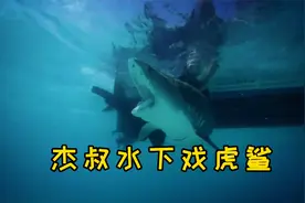 河中巨怪：天堂岛神秘蓝洞，经常出现巨型章鱼把人拖下水中吃掉！视频封面