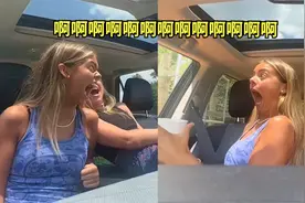 女生在野生动物园投喂动物，不料见庞大身躯靠近吓到失魂笑晕同伴视频封面