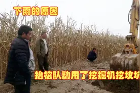 山东由于连续下雨，抬棺队挖坟坑只能动用了挖掘机，还是挖掘机快视频封面