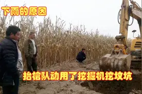 山东由于连续下雨，抬棺队挖坟坑只能动用了挖掘机，还是挖掘机快视频封面