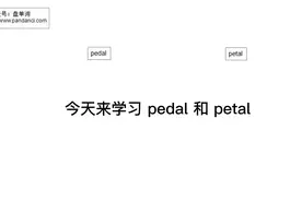 记忆单词 pedal 和 petal视频封面