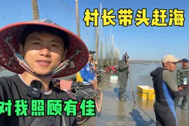 阿旺全村集体赶海，村长带头，每人都抓几十个牛螺，发财了视频封面