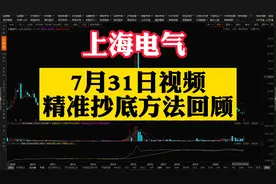 上海电气：回顾7月31日精准抄底，股价破净极限交易法案例教学视频封面