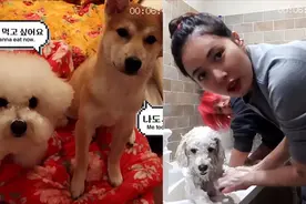 泫雅与男友在家里给狗狗洗澡 太好玩啦！视频封面