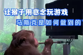 让猴子用意念玩游戏！马斯克的脑机接口公司是如何做到的？视频封面