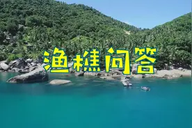古琴十大名曲《渔樵问答》加长版，静心养心，舒缓放松，安神助眠视频封面