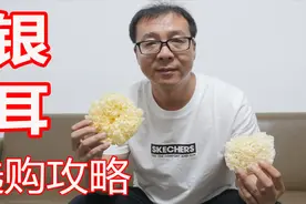 黑哥和刚子告诉你：挑选银耳的正确方法，一看二闻三尝四泡视频封面
