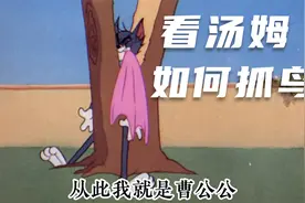 汤姆为了一只鸟，居然裆劈大树盖华山，从此多了一个猫公公视频封面