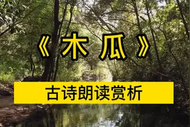 《木瓜》古诗朗读 成语投桃报李的出处 投我以木瓜,报之以琼琚视频封面