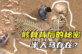5个隐藏在骸骨背后的秘密，希腊神话中的半人马真的存在？视频封面