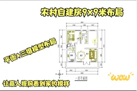农村自建房9x9米户型，平面和三维模型户型，提前看到家的模样视频封面