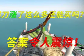 蝴蝶刀成为不倒翁？！一把刀竟然见证了CSGO从冷门到火爆！