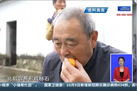 连吃20多个柿子 大伯得了肠梗阻视频封面