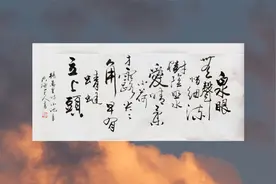 书法欣赏 行书 杨万里诗《小池》小荷才露尖尖角 早有蜻蜓立上头视频封面