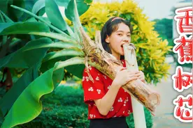 香蕉树芯好吃吗？沾着辣椒盐，一口下去反转了？视频封面