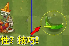 Pvz2：哪一个是最好用的小技巧？视频封面