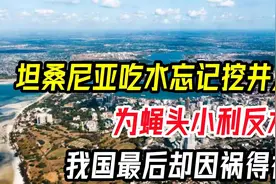 坦桑尼亚吃水忘记挖井人，为蝇头小利反水，我国最后却因祸得福视频封面