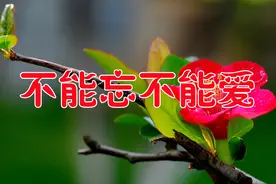 新歌！《不能忘不能爱》我忘也不能忘我爱也不能爱这感觉谁能明白