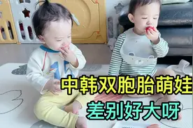 双胞胎哥俩吃草莓，一个快一个慢！给边上的韩国奶奶看的都急了视频封面