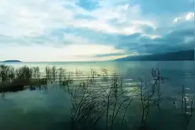 你永远不知道和你对视一眼，又紧接着故意瞟开的人有多喜欢你。视频封面