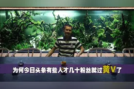 在头条里搞自媒体黄V认证真的重要吗？为何有些人几十粉丝就过黄V视频封面