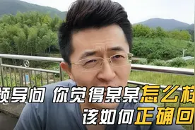 领导问你觉得某人怎么样，该如何正确回应？才能避免祸从口出！视频封面