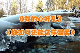 【赵传】我的心好乱/你如何还能这样温柔【高音质/超清】视频封面