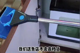 擦拭鱼缸壁使用什么工具，如何清洗鱼缸内的魔袋？操作都很简单视频封面