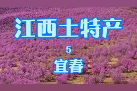 江西土特产宜春篇视频封面