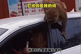 猴：你别相信它，它说的是我的词