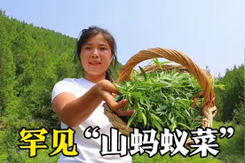 农村100种野菜之最罕见一种，深受热爱养生的人喜爱，有吃过吗？视频封面