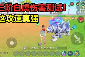 创造与魔法：三阶皎晶白虎伤害测试！这秒人速度，也太强了吧