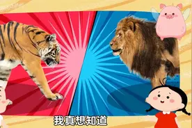 好奇世界百问百答 带孩子认识哺乳动画 需要全集的联系视频封面