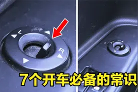 冷知识科普｜七个驾校绝对不会教你的保命常识！如何正确按喇叭？视频封面