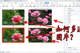 wps文字文档如何同时选中多张图片？多选是组合图片的第一步视频封面