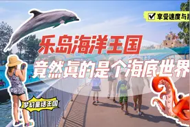秦皇岛夏日避暑好去处，这个海洋公园仿佛一座海底世界，好梦幻视频封面