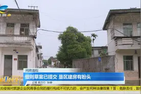 细则草案已提交 三亚垦区建房有盼头视频封面
