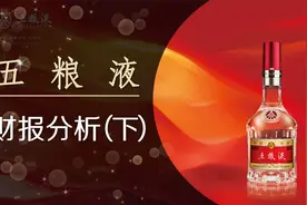 五粮液，利润预期稳定增长，目前的估值水平如何？视频封面