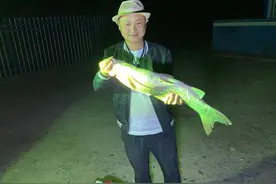 新疆塔里木河开闸放水，来撒几网碰运气，上一条5公斤重野生草鱼视频封面