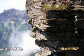 你不知道的梵净山丨世界自然遗产地梵净山是怎么来的视频封面